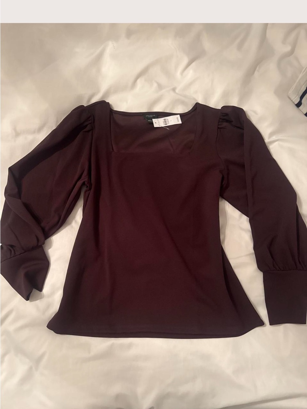 Ann Taylor Square Neck Long Sleeve Work Top in Brown